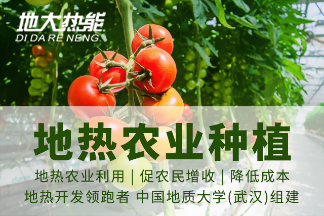 地?zé)豳Y源:內(nèi)蒙古發(fā)現(xiàn)的巨型地?zé)崽镉心男├梅绞?？地大熱? width=