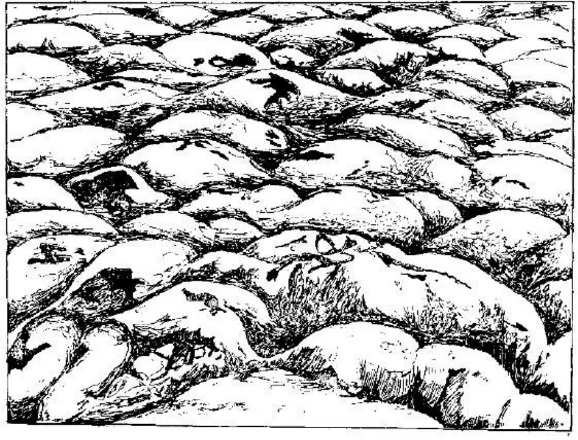 盤點各類地質(zhì)地貌類型-地熱資源開發(fā)-地大熱能